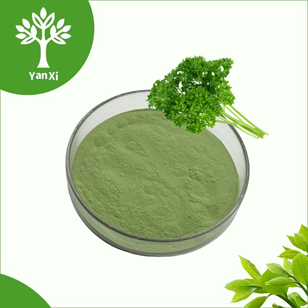 Parsley Powder Bulk Parsley Powder Bulk